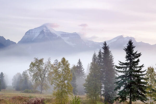 Canada, British Columbia, Mount Robson Provincial Park. Foggy sunrise on mountain landscape