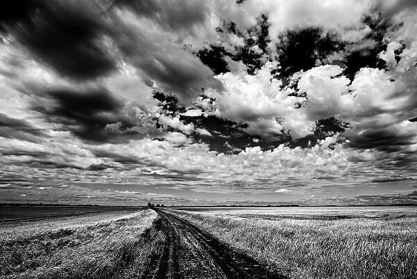 Canada, Manitoba, Grande Pointe. Black and white of clouds and road through field