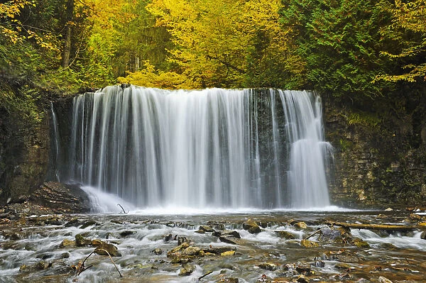 Canada, Ontario. Boyne River at Hoggs Falls in autumn