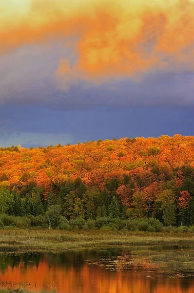Canada, Ontario, Oxtongue Lake. Colorful sky and forest at sunset