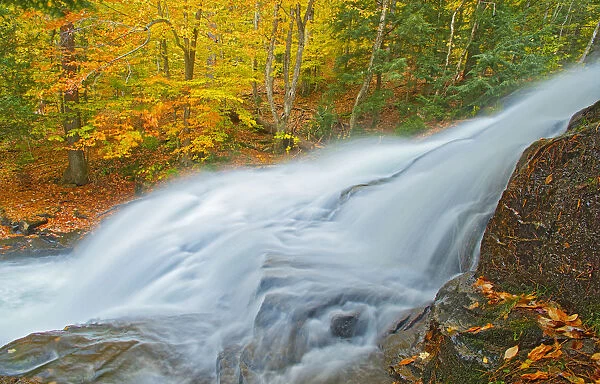 Canada, Ontario. Skeleton River at Hatchery Falls in autumn