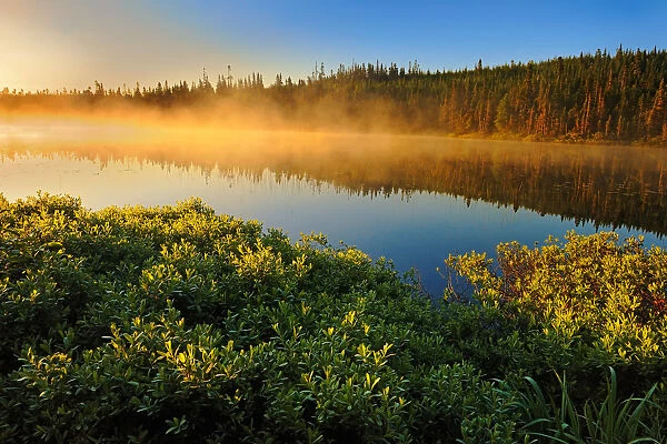 Canada, Quebec, Lac A Thompson. Sunrise mist on lake