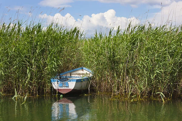 Canoe and reeds on Lake Ohrid, Republic of Macedonia