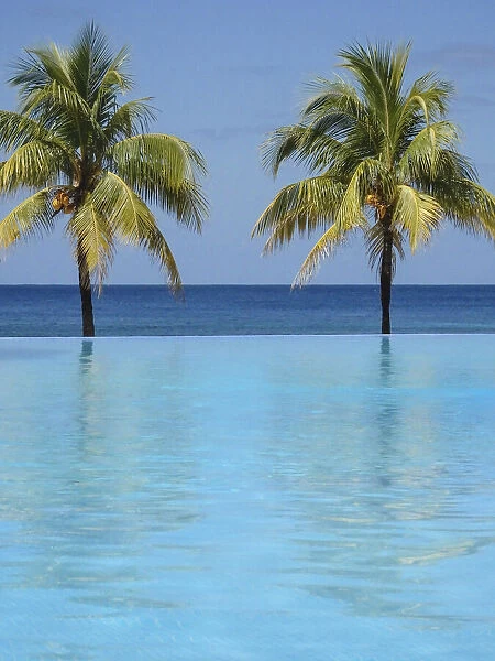 Caribbean, Honduras, Roatan. Infinity pool surrounded by palm trees