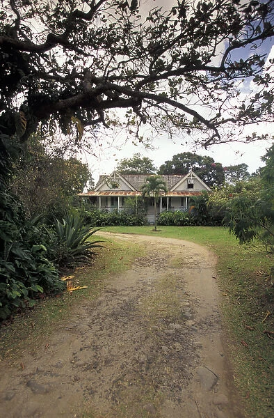 Caribbean, St. Lucia, Choiseul. Balembouche Estate, former sugar plantation