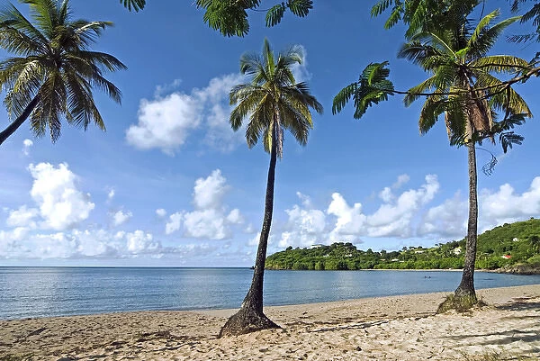 Carlisle Bay beach, Antigua, West Indies, Caribbean, Central America