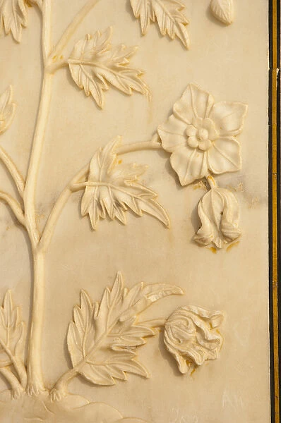 Carving detail, Taj Mahal, Agra, Uttar Pradesh, India