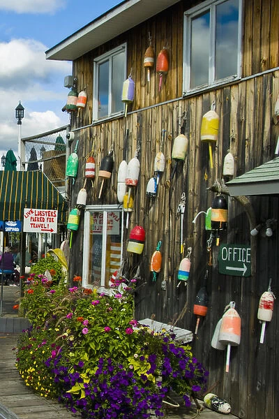 Charming and picturesque Bar Harbor on Mt. Desert Island Maine