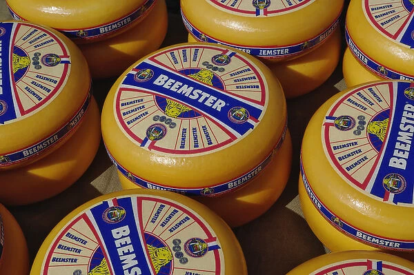 Cheese at the Alkmaar Cheese Market, Alkmaa, Netherlands, Holland