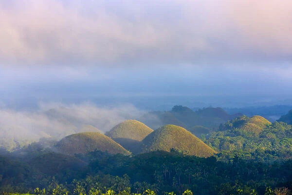 Chocolate Hills in morning mist, Bohol Island, Philippines