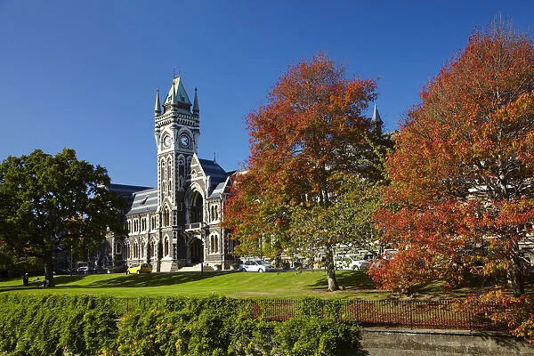 Clock Tower, Registry Building, University of Otago in Autumn, Dunedin, South Island