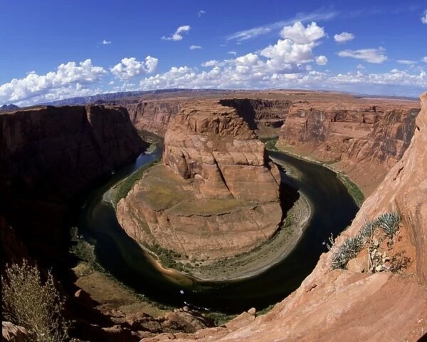 Colorado River Oxbow