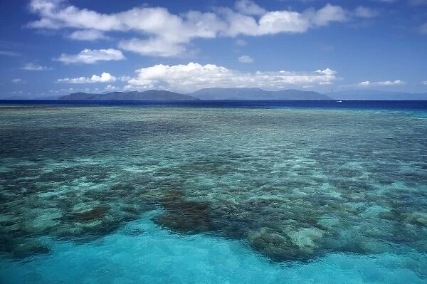 Coral Reef, Green Island, Great Barrier Reef Marine Park, North Queensland, Australia