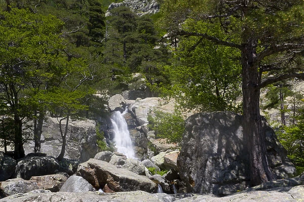 Corsica. France. Europe. Waterfall at Cascades des Anglais. Along the GR20 trail (aka