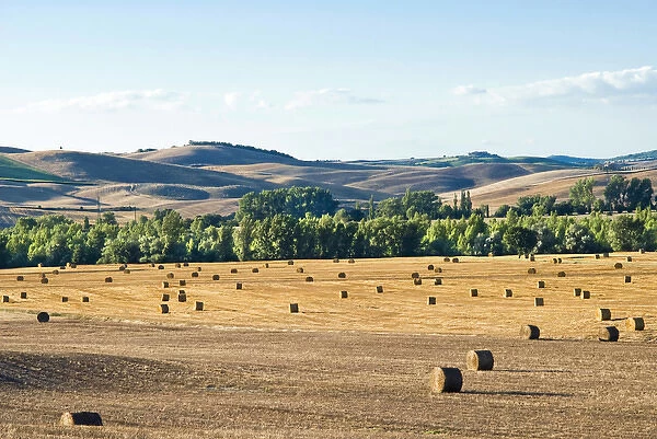Countryside near San Qurico d Orcia, Siena, Tuscany, Italy