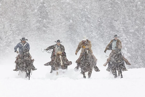 Cowboys during winter roundup, Kalispell, Montana