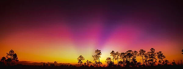 Dawn rays, along Hwy 41, Florida