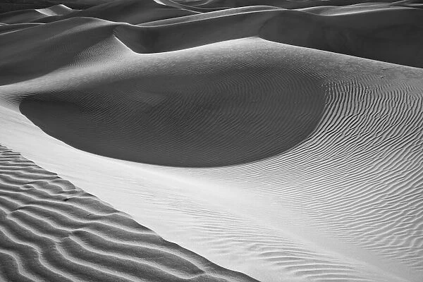 Dune Abstract, Death Valley