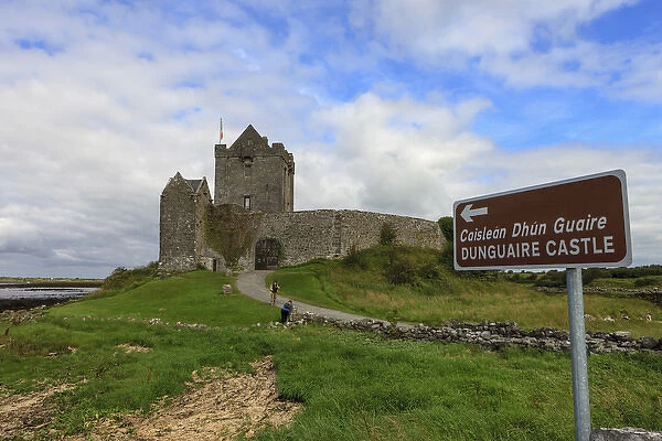 Dunguaire Castle. 16th-century Tower house. Galway Bay. County Galway. Ireland