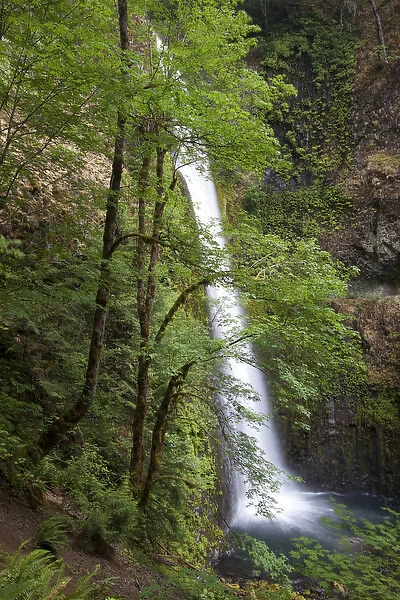 Eagle Creek waterfalls