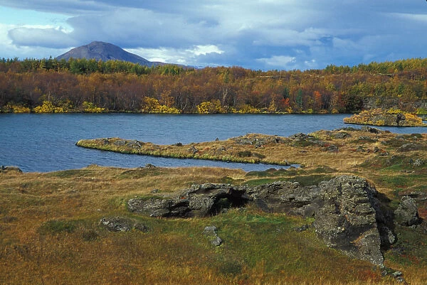 04. Europe, Iceland, Lake Myvatn area landscape