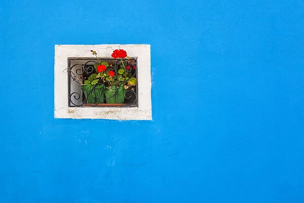 Europe, Italy, Burano. Window of colorful house