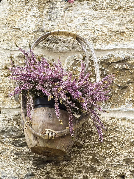 Europe, Italy, Chianti. Basket of flowers hanging on a stone wall
