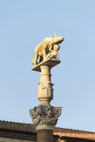 Europe, Italy, Siena. She-Wolf Romulus & Remus statue on pillar in Piazza del Duomo