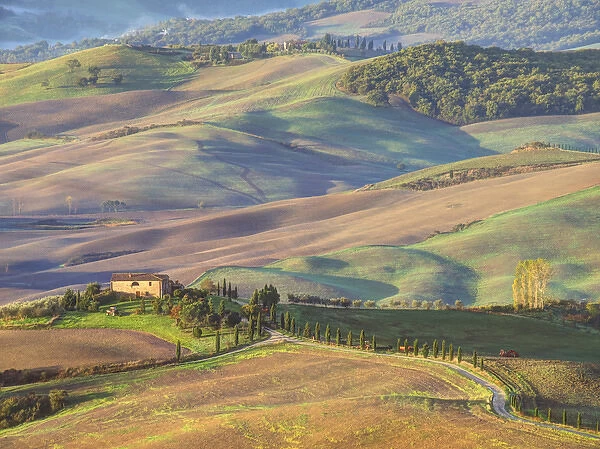 Europe, Italy, Tuscany. Evening light on a winding road leading to a villa near the