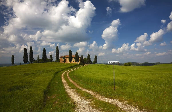 Europe; Italy; Tuscany; Pienza; Road Leading to Villa with Wheat Fields