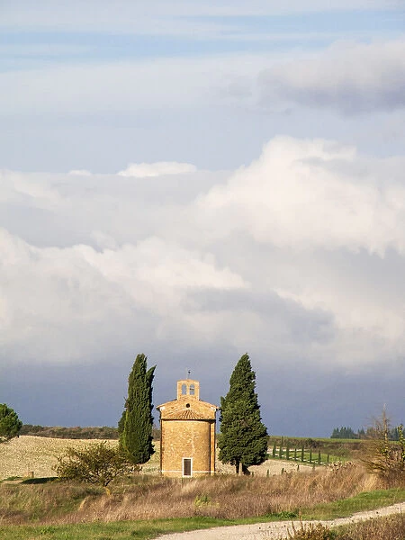 Europe, Italy, Tuscany, San Quirico d Orcia. Road leading to the Vitaleta Chapel