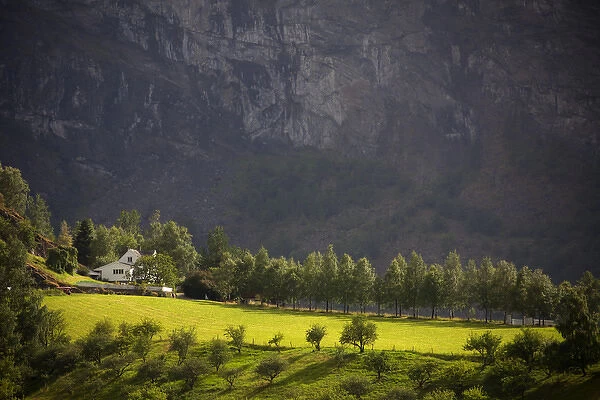 Europe, Norway, Flam. Sunlit farm in Flam mountains
