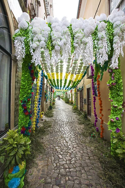 Europe; Portugal; Tomar; The streets of Tomar decorated with paper flowers for the celebrations