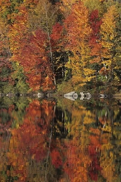 Fall color reflected in Lake Armington, White Mountain National Forest, United States