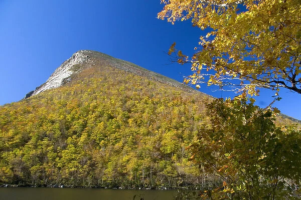 Fall foliage at Cannon Mountain, a peak in the White Mountains located within Franconia