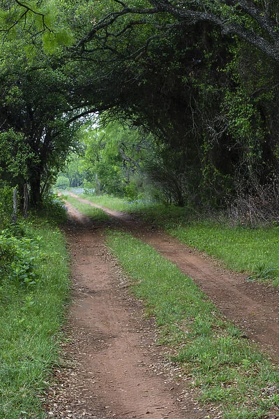 Farm road and pathway
