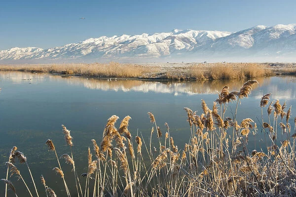 Farmington Bay Waterfowl Management Area Utah Division of Wildlife Resources, Great Salt Lake
