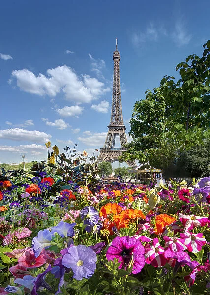 Flowers and Eiffel Tower in Paris, France