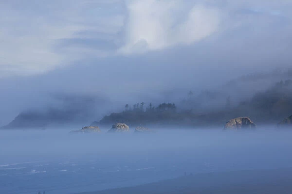 Foggy morning along the coastline, Cannon Beach, Oregon