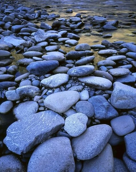 Frank Church River Of No Return Wilderness, Idaho. USA. Water-smoothed stones along