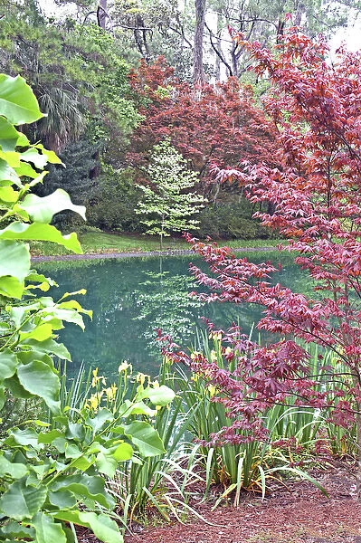 Garden landscaping pond at Alfred Maclay Gardens State Park Tallahassee Florida