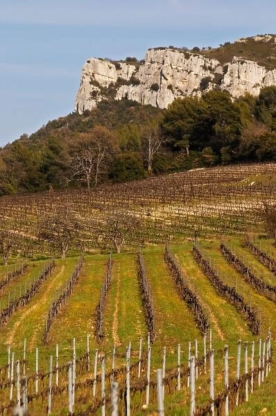 Graphic pattern vineyard and mountain cliff Choteau Barbanau and Clos Val-Bruyere