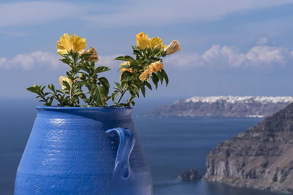 Greece, Santorini. Blue flower pot with hibiscus flowers juxtaposed again the rugged slopes