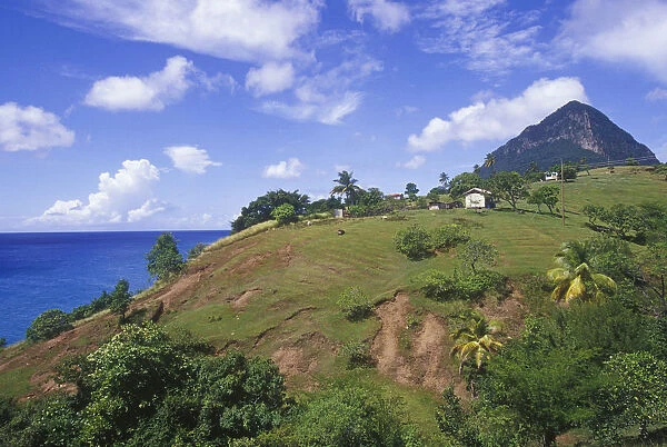 Gros Piton view along the historic trail in Choiseul, St Lucia, Caribbean