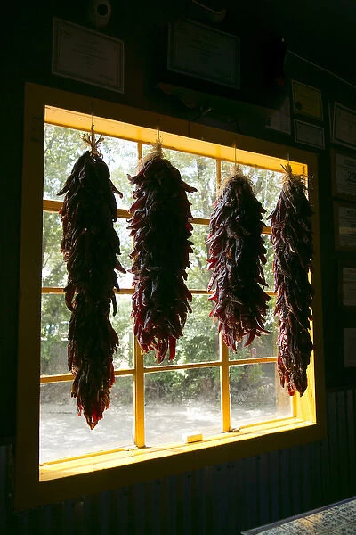 Hanging dried red chilies backlit in a window, Taos, New Mexico, USA