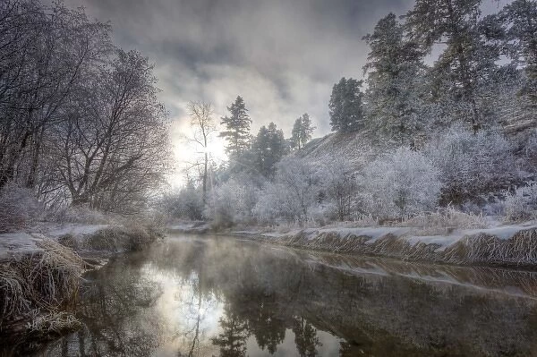 Hoarfrost along a slough at the Kelly Island FWP area along the Clark Fork River in Missoula