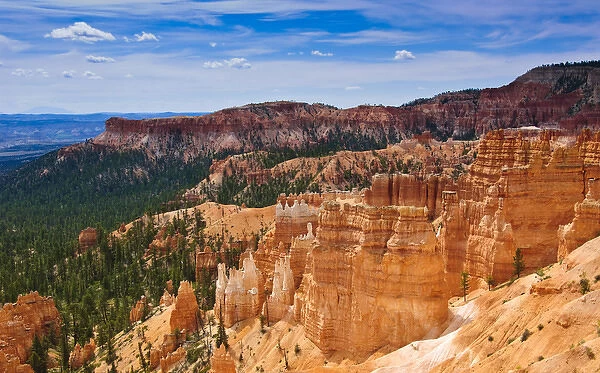 The Hoodoos of Bryce Canyon - Bryce National Park, UT