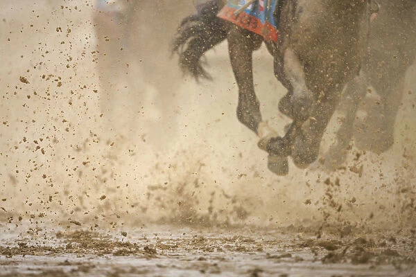 Horse racing in the mud