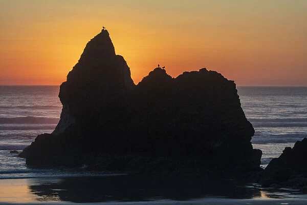 Humbug Point at sunset near Cannon Beach, Oregon, USA