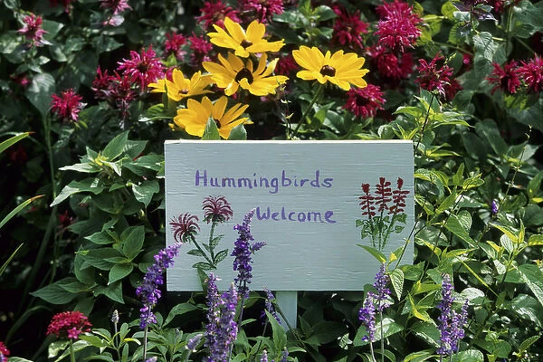 Hummingbirds Welcome sign in hummingbird garden, Marion Co. IL